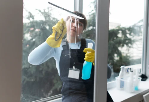 Nettoyage de vitres intérieures et extérieures à la Palme